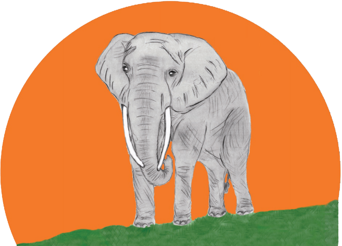 Praxis Dr. Langhanke & Kollegen 